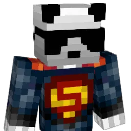 Wizerdcraft58 Minecraft avatar bust