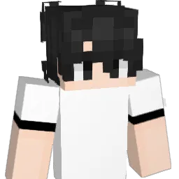 Wizy_77 Minecraft avatar bust