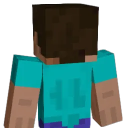 WlanFunktioniert Minecraft avatar bust