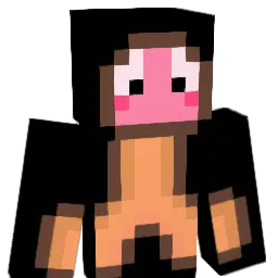 Wlosy11 Minecraft avatar bust