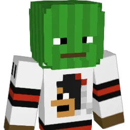 WoahNiceCrocs Minecraft avatar bust
