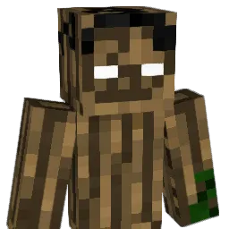 Woahsa Minecraft avatar bust