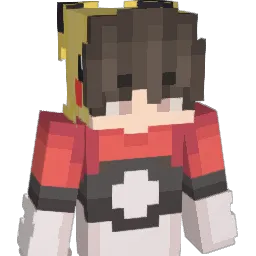 WojBody2115 Minecraft avatar bust