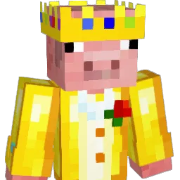 Wojanek2015 Minecraft avatar bust