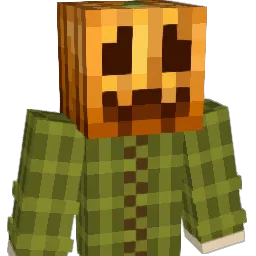 Wojtas1923 Minecraft avatar bust