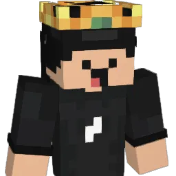 Wojtas2004 Minecraft avatar bust