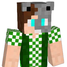 Wolf1991823 Minecraft avatar bust