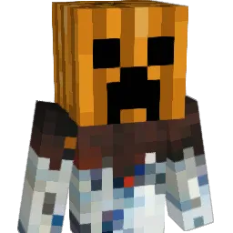 Wolfi2302 Minecraft avatar bust
