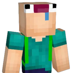 Wolfin2005 Minecraft avatar bust