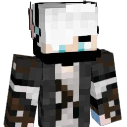 WolfsSohn01 Minecraft avatar bust