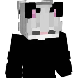 Won0Ton Minecraft avatar bust