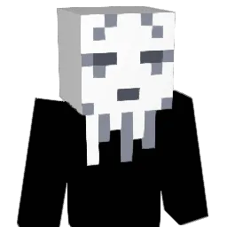 WonTongSoup Minecraft avatar bust