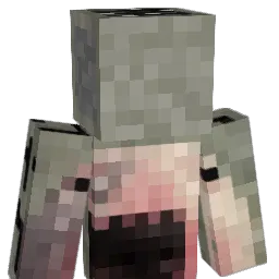 WonksMC Minecraft avatar bust