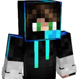 WooWoo209 Minecraft avatar bust