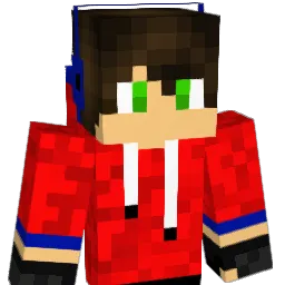 WoodenDoritos Minecraft avatar bust