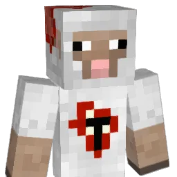 Woolson Minecraft avatar bust