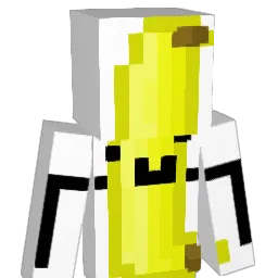 Wordtyy's Minecraft skin