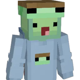 WornTurtle02649 Minecraft avatar bust