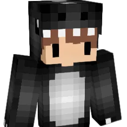 Worth_PlayingV2 Minecraft avatar bust