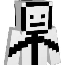 WrongDude8 Minecraft avatar bust