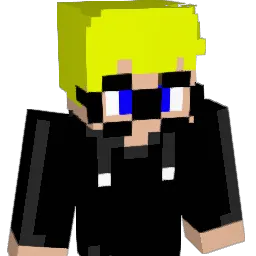 WrongLobby_ Minecraft avatar bust