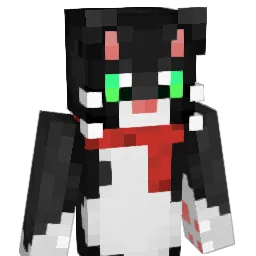 Wt737 Minecraft avatar bust