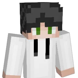 WusPoppingg Minecraft avatar bust