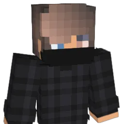 Wwnh Minecraft avatar bust