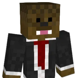 Wxnderinq Minecraft avatar bust