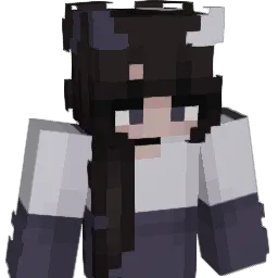 Wxsted_ Minecraft avatar bust