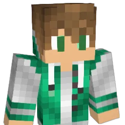Wyborn96 Minecraft avatar bust