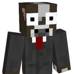 WynnSkin17 Minecraft avatar bust