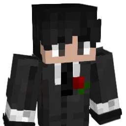 Wyon2702's Minecraft skin