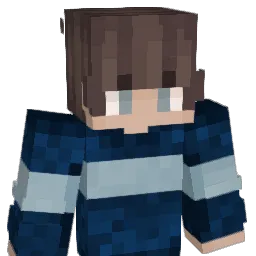 X00000X Minecraft avatar bust
