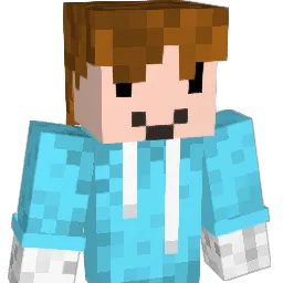 X09sv1 Minecraft avatar bust