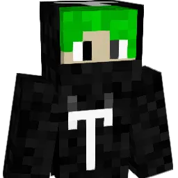 X1Turtle's Minecraft skin