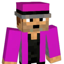 X4nennN Minecraft avatar bust