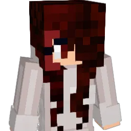 XANNV4: Minecraft-Skin, Capes & Namensverlauf