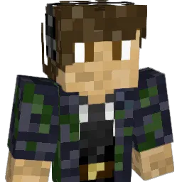XCharizardX3891 Minecraft avatar bust