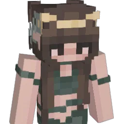 XD9667_x Minecraft avatar bust