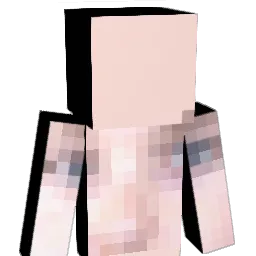 XDCastor1337 Minecraft avatar bust