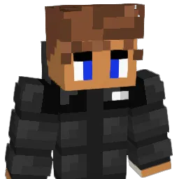 XDV20 Minecraft avatar bust