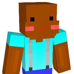 XE_hehe Minecraft avatar bust