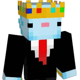 XFlip_2137 Minecraft avatar bust