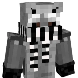 XINIM001 Minecraft avatar bust