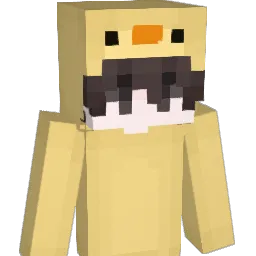 XNI_Sebi's Minecraft skin