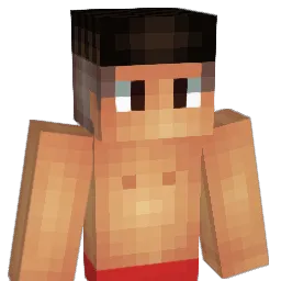 XO_TILL_WE_OD Minecraft avatar bust