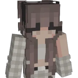 XP5 Minecraft avatar bust
