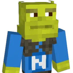 XPro200 Minecraft avatar bust