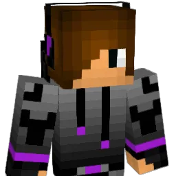XPun1sherX Minecraft avatar bust